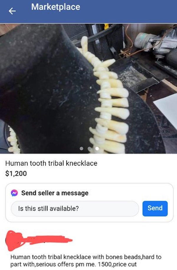 jaw - K Marketplace Human tooth tribal knecklace $1,200 Send seller a message Is this still available? Send Human tooth tribal knecklace with bones beads, hard to part with,serious offers pm me. 1500 price cut