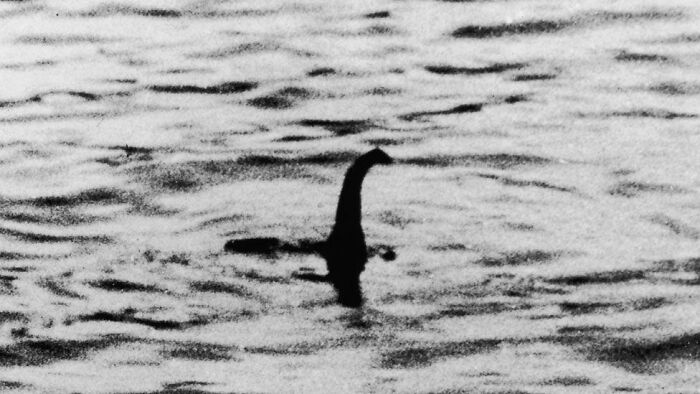 For almost 1,500 years, people have reported seeing an enormous, mysterious creature living in Loch Ness, a freshwater lake near Inverness, Scotland. The earliest reference to a Scottish lake monster dates back to the biography of Saint Columba, which was written in 565 AD. Reports continued periodically afterward, but they kicked into high gear in 1933, when a road was built along Loch Ness's shore.

One year later, British doctor Robert Wilson shared the infamous Loch Ness Monster photograph, which purported to reveal the monster in its natural habitat (and in no way looks like a plastic dinosaur toy in a bathtub). Though Wilson later admitted the photo was a hoax, belief in the legend persists to this day. As of 2012, a quarter of Scots believed Nessie was real, or at least told a pollster they did. Some think the Loch Ness Monster is a prehistoric holdout, a dinosaur that somehow survived to the present day. Others think it's a cryptid.

There has never been concrete proof of a lake monster living in Loch Ness, not even a washed-up carcass. So why do so many people still believe it? As with a lot of these popular myths, it's not because people are delusional, or that they're seeing something that isn't really there; it's more likely they are seeing some kind of creature and misunderstanding what it is. Skeptics have suggested that many supposed Nessie sightings are really just large fish native to the area - possibly a wels catfish, a sturgeon, or a Greenland shark.

In 2019, a team of researchers from New Zealand analyzed water samples from Loch Ness and studied the DNA of every type of living organism found within it. They found no evidence of dinosaurs, sturgeon, catfish, or sharks, nor did they find the DNA of a previously unknown organism. However, they did find plenty of eel DNA. Like many freshwater lakes in Europe, Loch Ness is home to the European conger, a species of eel that spawns in the Sargasso Sea near the Bahamas and migrates to European bodies of water. European congers can grow up to 7 feet long and weigh up to 130 pounds, making them the likeliest Nessie candidate. If there is a bigger animal living in Loch Ness, it hasn't left any DNA behind.