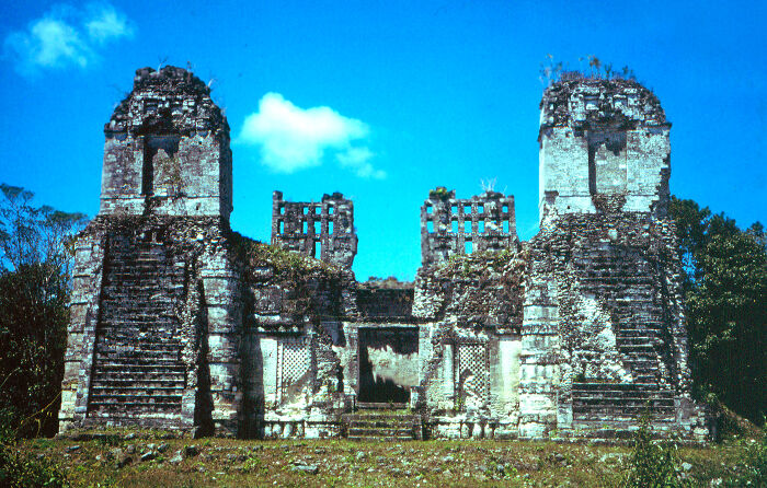 It's one of the most prominent societal collapses in human history. The Mayans seemingly abandoned their complex civilization and disappeared into the Central American jungle. For centuries, people puzzled over the disappearance, theorizing everything from an internal peasant revolt, to conquest by an outside and unknown people, to a UFO holocaust.

It wasn't until 2005 that a legitimate theory was put forward to explain what happened, a theory confirmed in 2012. The Mayan civilization collapsed due to a self-created environmental disaster. The Mayans chopped down too many trees, which reduced the land's ability to absorb solar radiation. This made rainfall more scarce, which caused a crippling drought. The Mayans abandoned their land not due to aliens or revolt, but to find food.