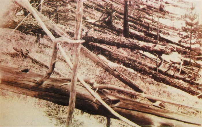 What Was The Reason Behind The Tunguska Blast Of 1908?

In 1908, the skies over Siberia lit up as a great ball of light streaked through the night sky. An enormous explosion then decimated 770 square miles of remote forest. The explosion is believed to have released energy that was 1,000 times greater than the atomic bomb. Researchers didn't reach the remote site to survey it until 1927, and were immediately perplexed at the inability to find remnants of a meteor or clear-cut impact crater. One hundred years later the site still is barren, and it wasn't until 2007 that scientists finally discovered the cause of the great blast. Researchers using acoustic imaging were able to identify the crater as a lake that was around 5 miles north of the area originally identified by scientists. A team of Italian researchers used acoustic imaging to identify the crater, which turned out to be in a lake five miles north of the spot originally identified by scientists. The explosion itself was indeed caused by a meteor.