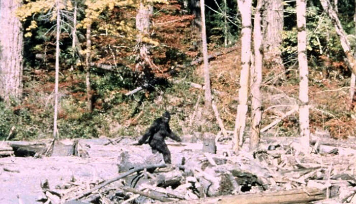 Shot in Northern California in 1967, the Patterson-Gimlin Film is almost certainly the most well-known piece of footage purporting to show Bigfoot. While the authenticity of the film is still debated by cryptozoologists and skeptics alike, they needn't bother: a 2004 book by author Greg Long revealed the entire thing as a hoax.

A local laborer named Bob Heironimus wore a suit, and freely admitted to Long that he'd done so. Roger Patterson never paid anyone involved with the film, had charges filed against him to get him to return the camera he used, and likely did the whole thing as a stunt to provide for his family, as he was sick with cancer.