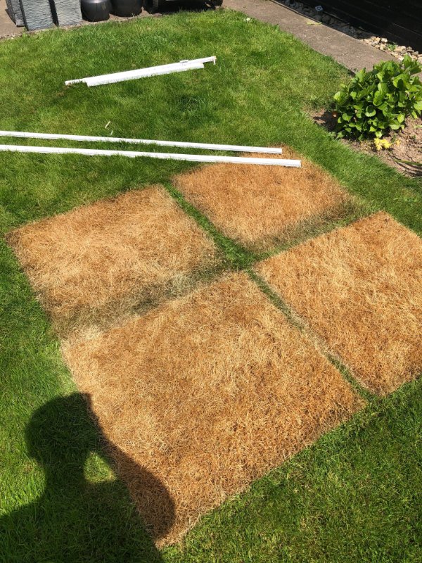 “I guess you shouldn’t put glass windows over grass when it’s 22 degrees Celsius.”