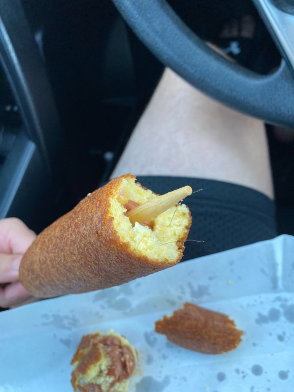 “Went to my local town’s yearly festival. First event like this since COVID started, hairs in my corn dog. Back to isolation.”