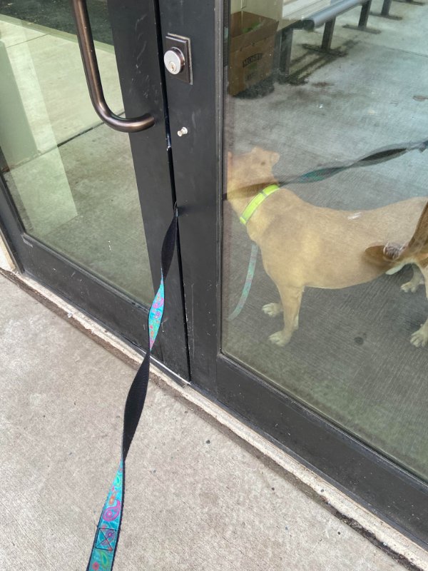 “At my apartments, you need a key fob for entry. Only problem is I forgot the key inside. I walked out and let the door shut behind me before realizing he wasn’t outside yet. Now we wait LOL.”