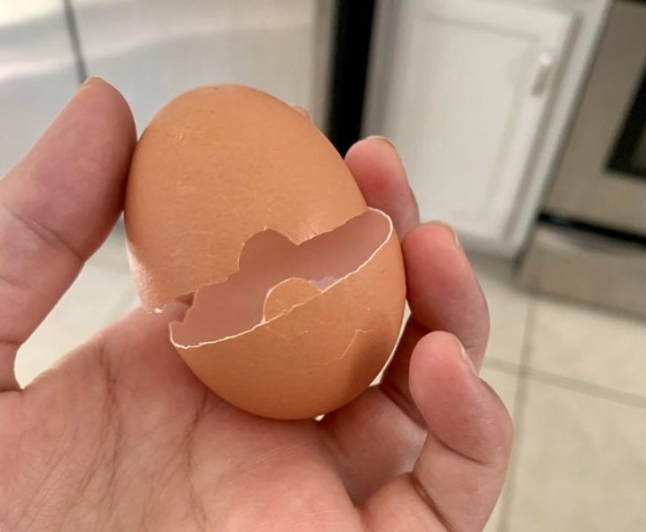 “My egg cracked open like a Poké Ball.”