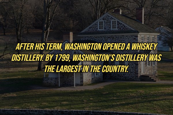 grass - After His Term, Washington Opened A Whiskey Distillery. By 1799, Washington'S Distillery Was Eul The Largest In The Country.