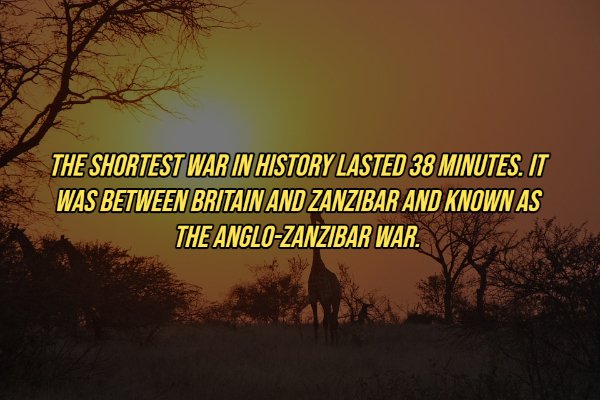 zambia nature - The Shortest War In History Lasted 38 Minutes. It Was Between Britain And Zanzibar And Known As The AngloZanzibar War.