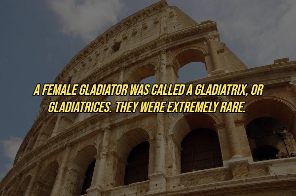 colosseum - A Female Gladiator Was Called A Gladiatrix, Or Gladiatrices. They Were Extremely Rare.