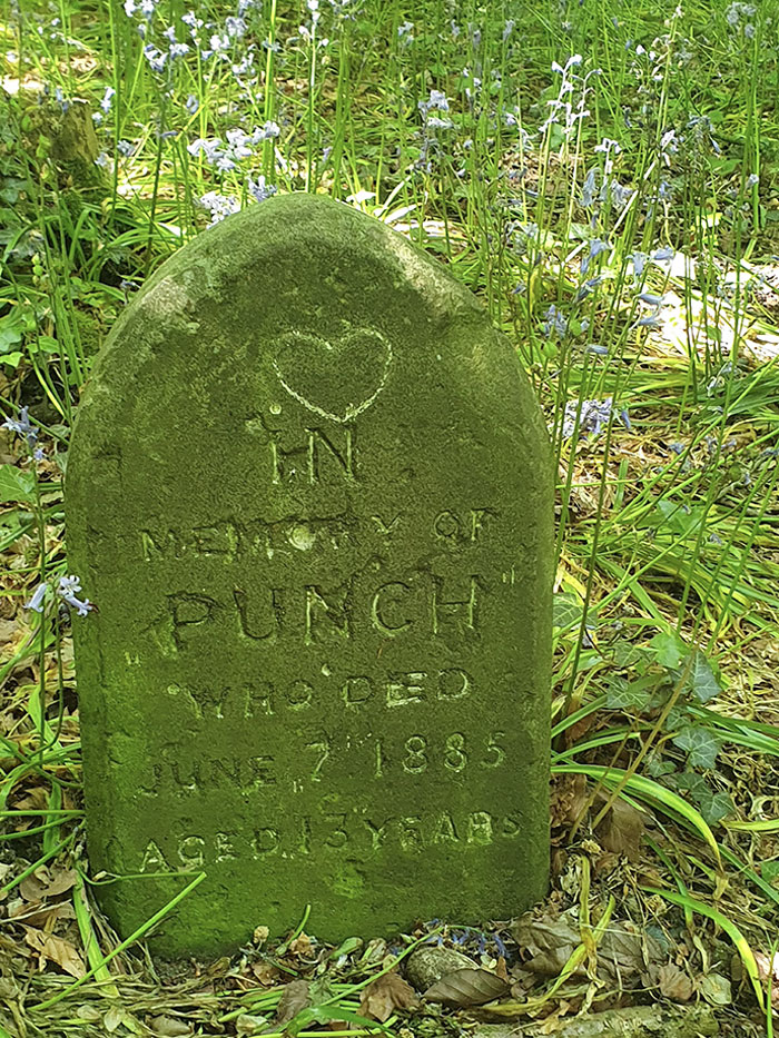 grave - In Punch June 2! 1835 Gedly Hans