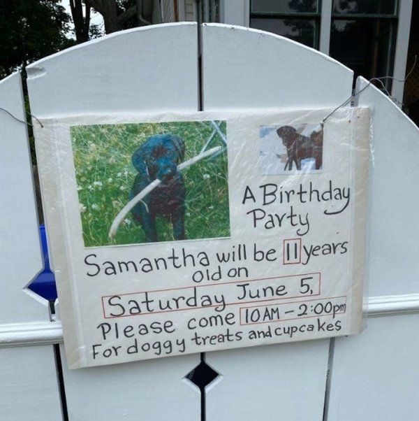 an elderly neighbor of mine is throwing a birthday party for his dog