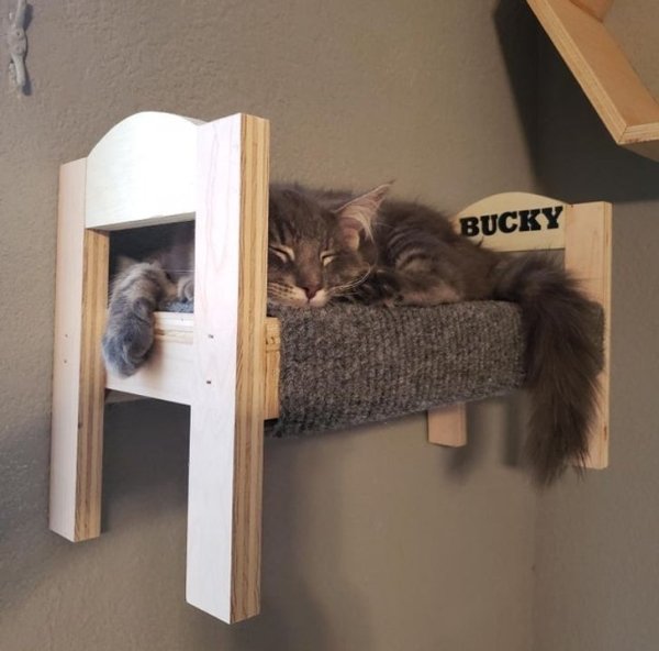 I made my cat Bucky a little bed to hang on the wall. He loves it.