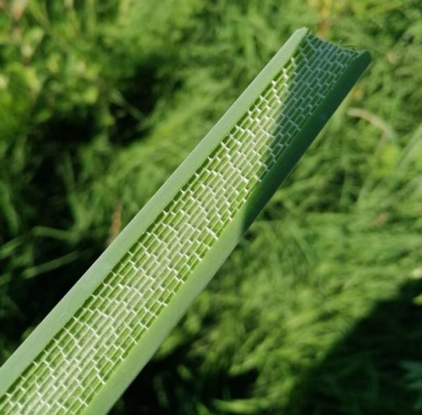 "The inside of this plant looks like it’s made of tiny bricks."