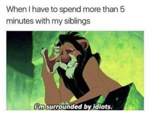 i m surrounded by idiots meme - When I have to spend more than 5 minutes with my siblings I'm surrounded by idiots.