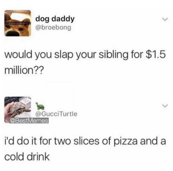 paper - dog daddy would you slap your sibling for $1.5 million?? Turtle Memes i'd do it for two slices of pizza and a cold drink