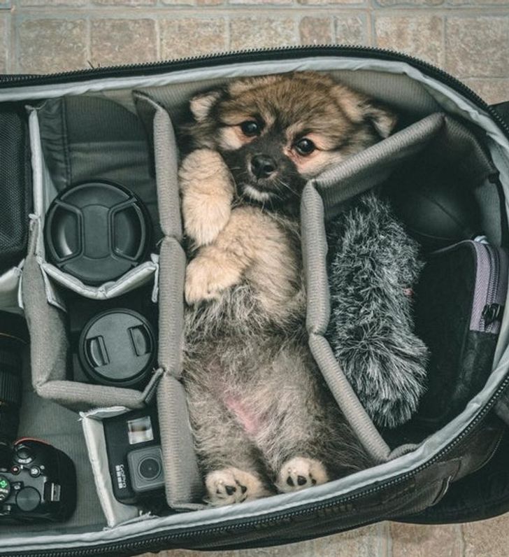 “Only packing the essentials!”