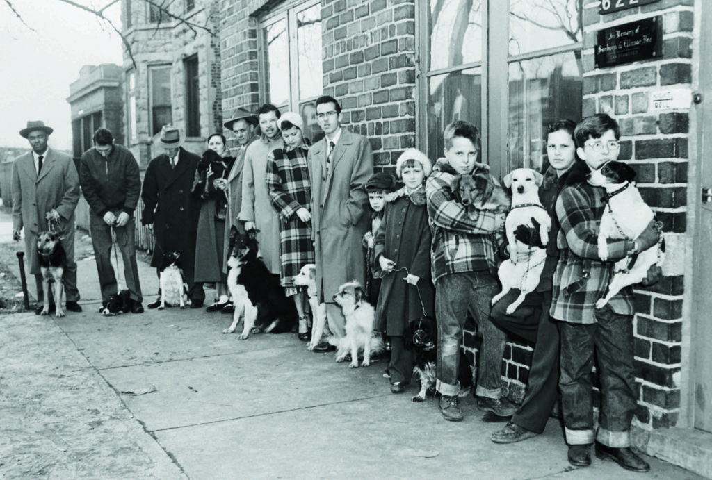 In Chicago in 1954, owners lined up with their dogs in order to receive vaccines that had been ordered by the state in response to a rabies outbreak. Some 45,000 received shots