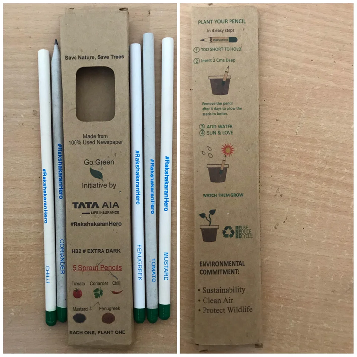 “After using these pencils, you can plant them in the soil and then a sapling will grow from the green bottom!”