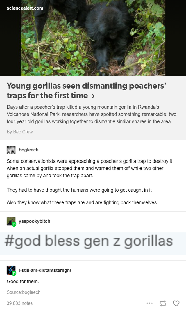 21 Odd and Interesting Posts From Tumblr.