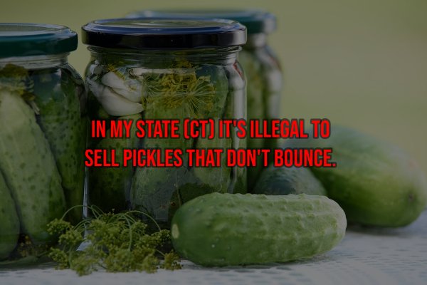 dill pickles made - In My State Ct It'S Illegal To Sell Pickles That Don'T Bounce.