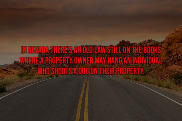 sky - In Nevada There'S An Old Law Still On The Books Where A Property Owner May Hang An Individual Who Shoots A Dog On Their Property.