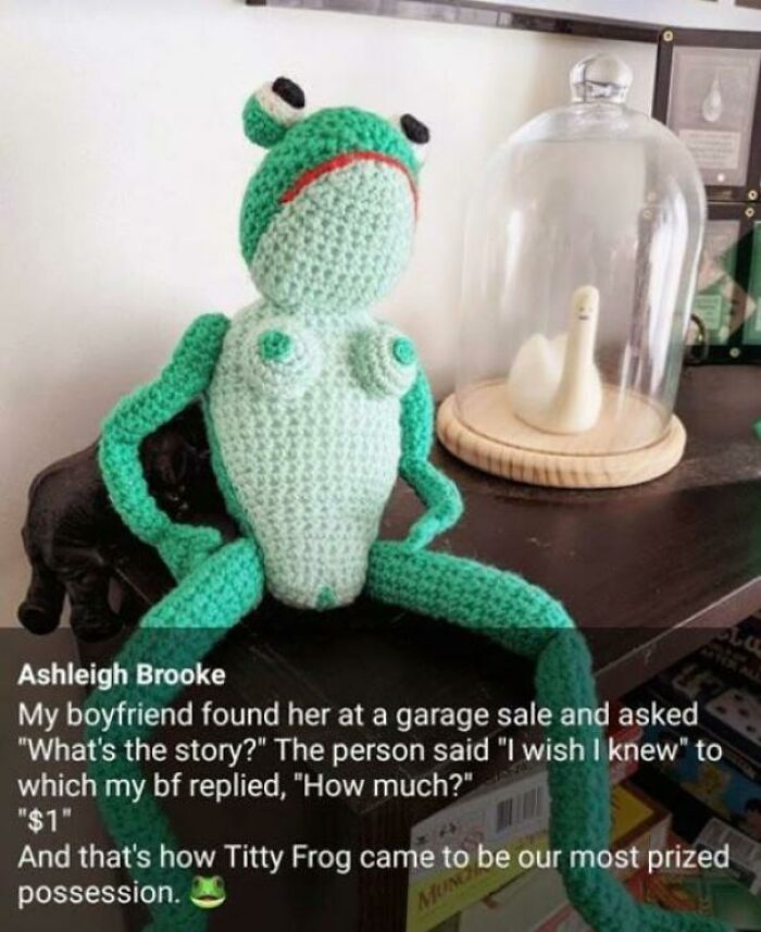tiddy frog - Ashleigh Brooke My boyfriend found her at a garage sale and asked "What's the story?" The person said "I wish I knew" to which my bf replied, "How much?" "$ 1" And that's how Titty Frog came to be our most prized possession. Mung