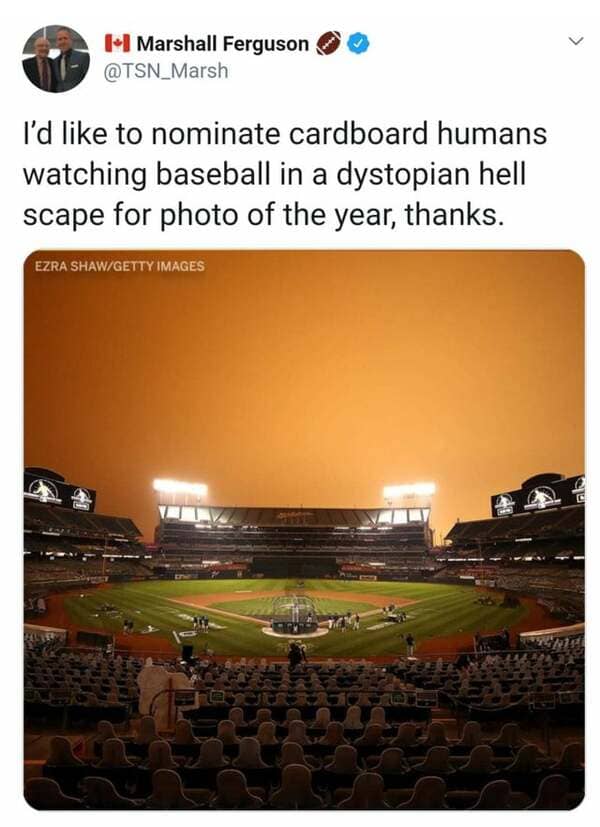 dystopian hellscape baseball - Marshall Ferguson I'd to nominate cardboard humans watching baseball in a dystopian hell scape for photo of the year, thanks. Ezra ShawGetty Images C