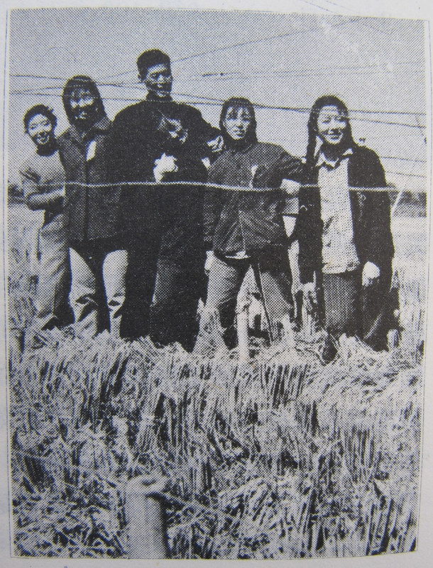 This 1959 propaganda photo depicts Chinese children standing atop what appears to be an abundant field of wheat. But in reality, they stood on a bench surrounded by a field of transplanted stalks to hide the fact much of the country was under famine.