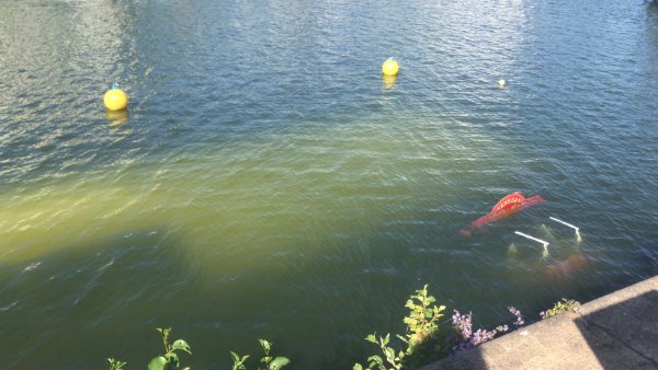 “A floating cafe near where I live just sank.”