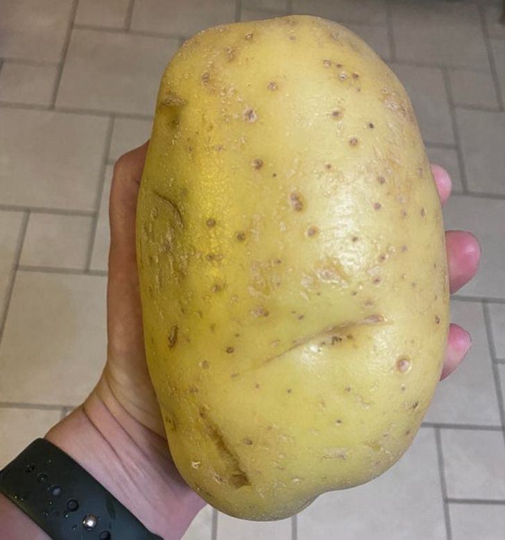 things that are huge - huge potato