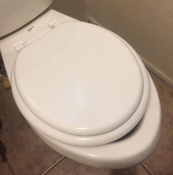 Roommate broke the toilet seat. No worries though. He replaced it.