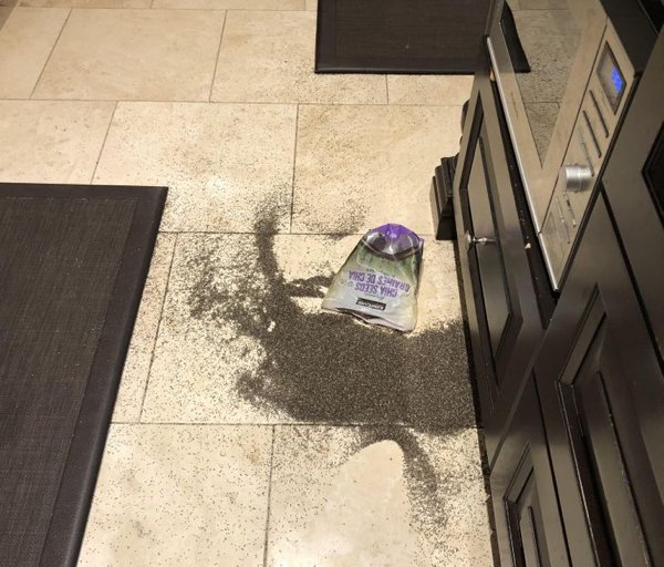 My mom had just finishing cleaning the kitchen and then spilled a bag of Chia seeds on the ground.