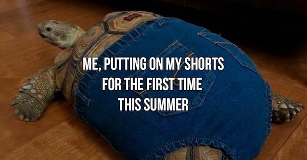 turtle in overalls - Me, Putting On My Shorts For The First Time This Summer Alar Tamara