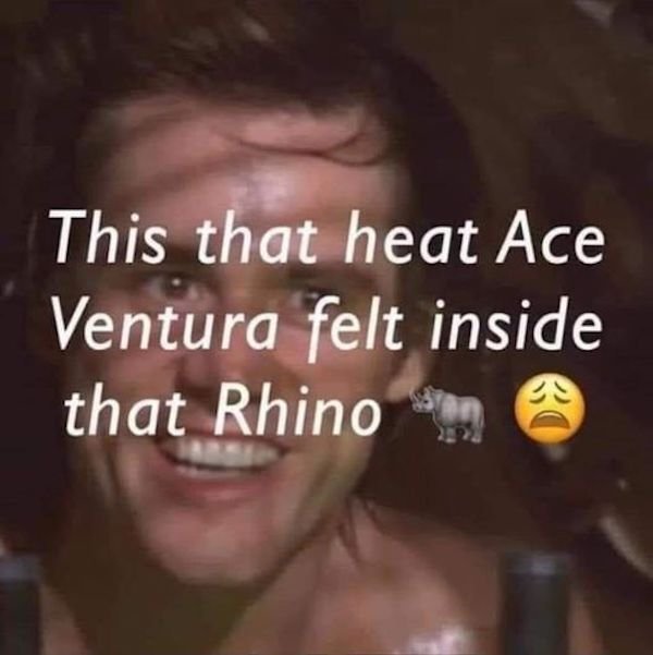 photo caption - This that heat Ace Ventura felt inside that Rhino