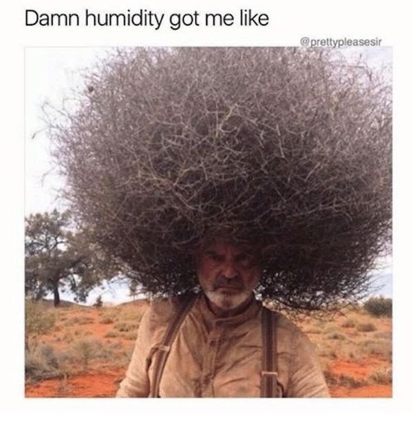 damn humidity got me like - Damn humidity got me