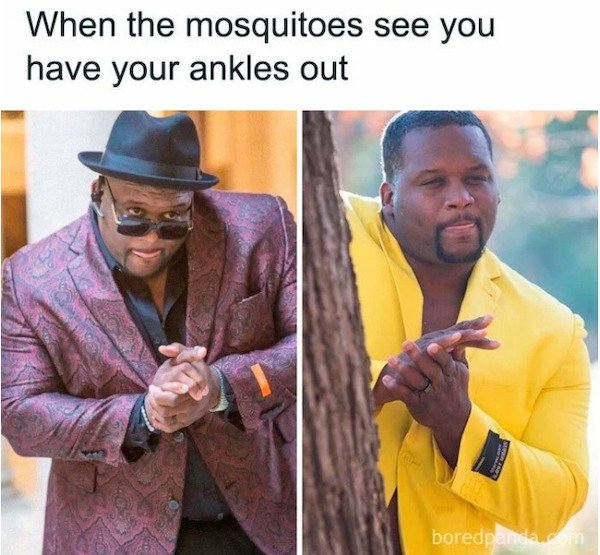 summer vibes meme - When the mosquitoes see you have your ankles out boredpanda