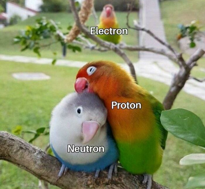 proton neutron electron memes - Electron Proton Neutron