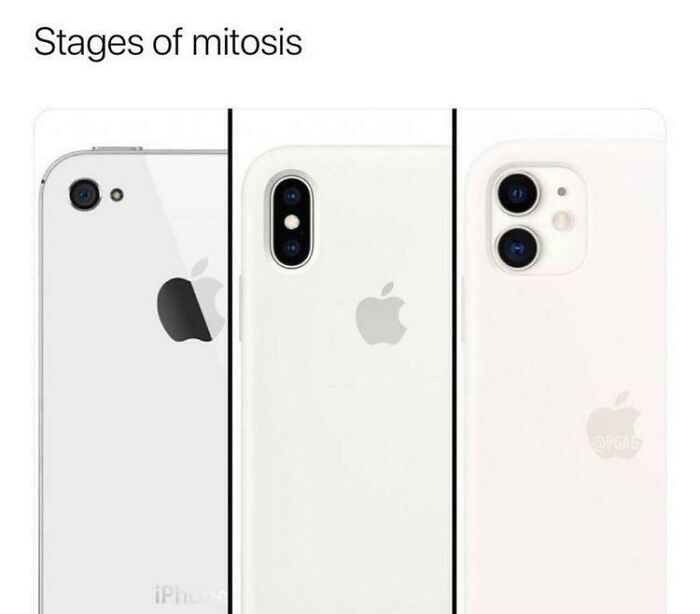 iphone mitosis - Stages of mitosis iPh