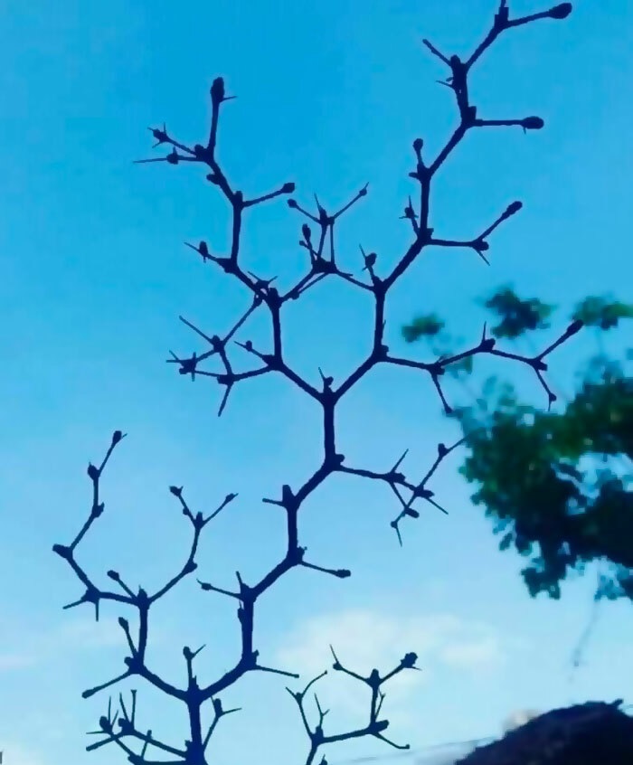 hexagonal tree branches