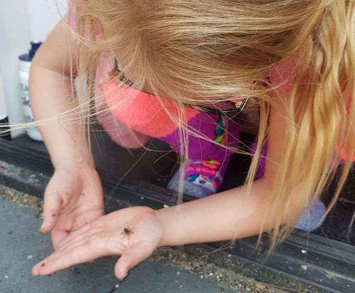 “My 5-year-old niece stopped her mom from stepping on a little spider and took it outside on her hand instead.”