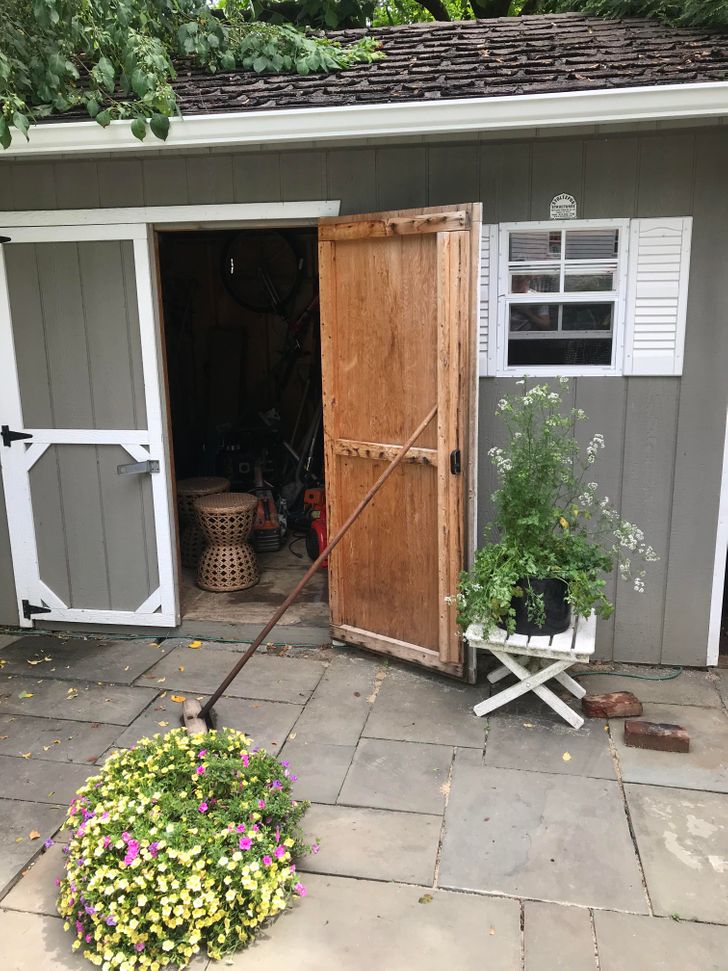 “A bird is currently building a nest in my parents’ shed, so my dad is keeping the door open for the entire summer.”