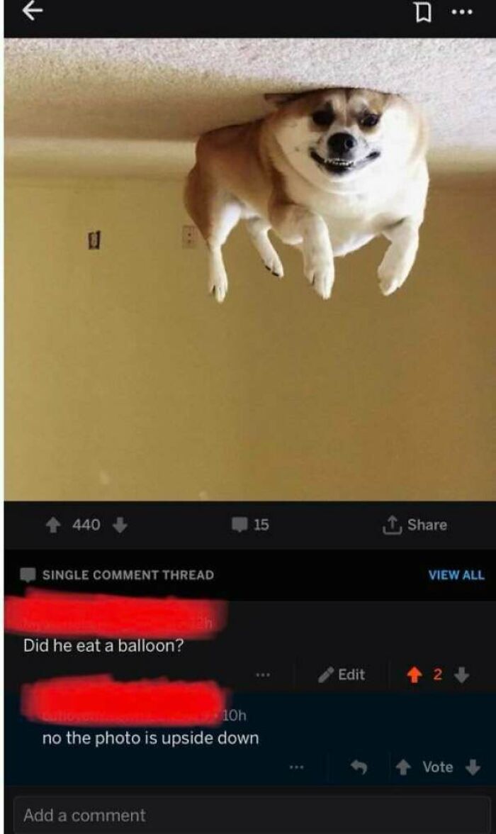 30 People Who Totally Missed The Joke.