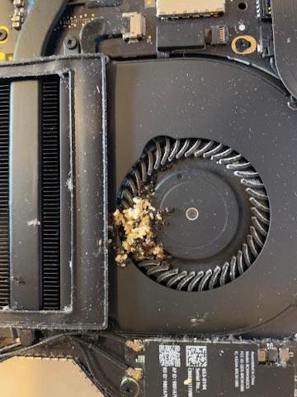 Her: my MacBook Pro is running hot. Inside the fan: ant colony