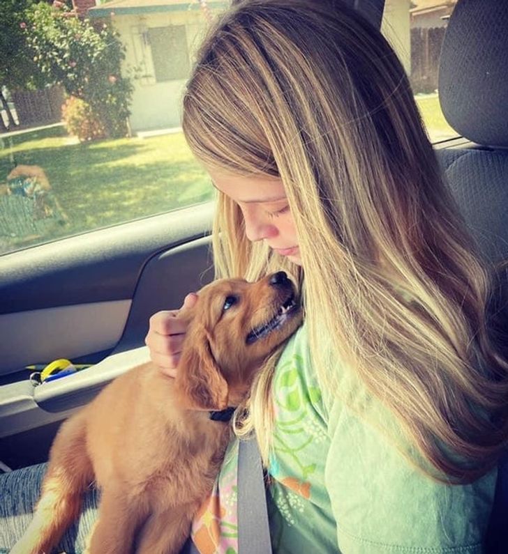 “My niece just got a puppy. I think he likes her.”