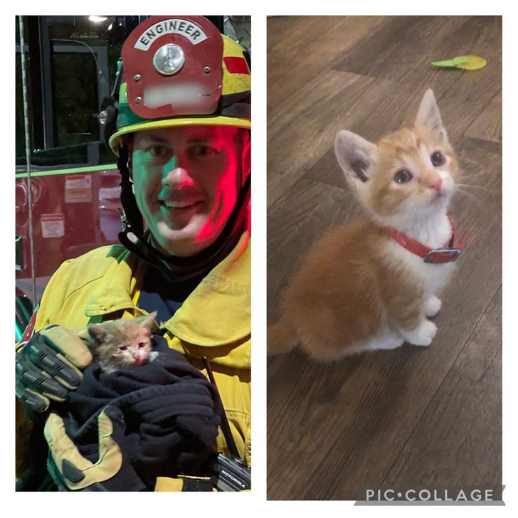 “What a difference a week and a lot of love make! Rescued this handsome little guy from a storm drain.”