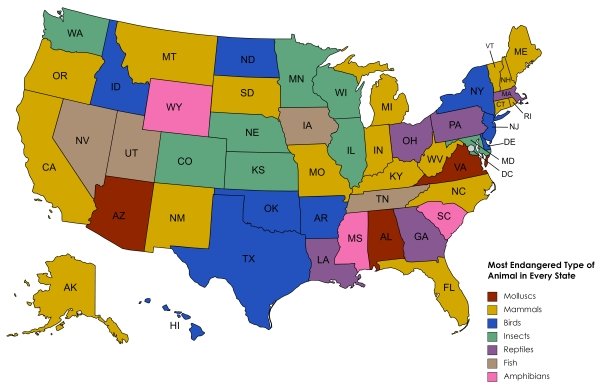 27 Charts Filled With Random Knowledge.