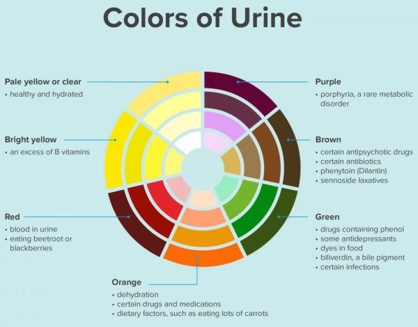 27 Charts Filled With Random Knowledge.