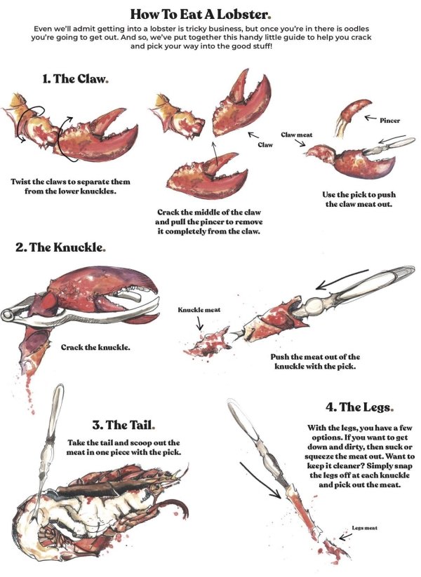 27 Charts Filled With Random Knowledge.