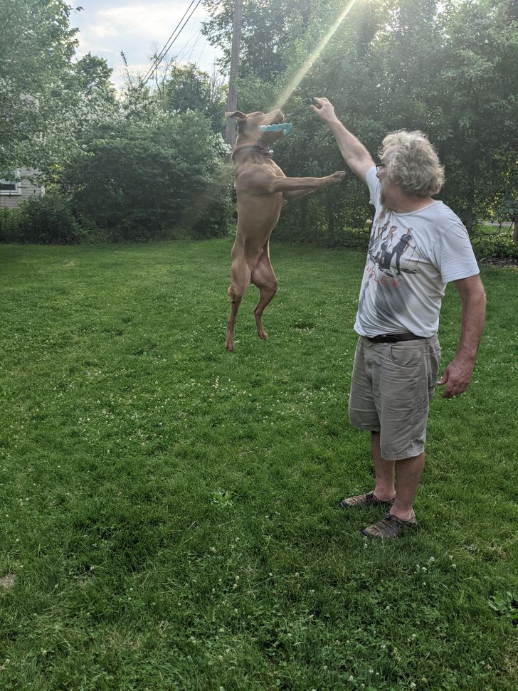 We have a flying doggo here, or...