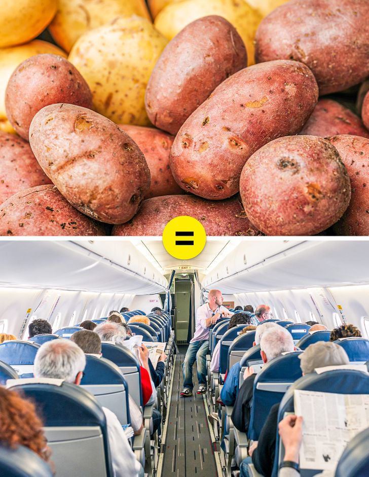 Boeing uses potatoes to test Wi-Fi because they absorb the signals similar to how people do.