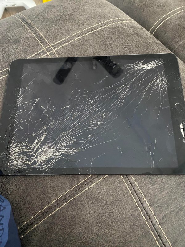 “My cat threw my IPad i got last week off my bed, the case was supposed to come tomorrow.”